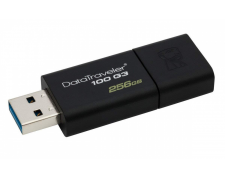  Flash 256  Kingston DataTraveler G3 DT100G3/256GB (USB3.0, )
